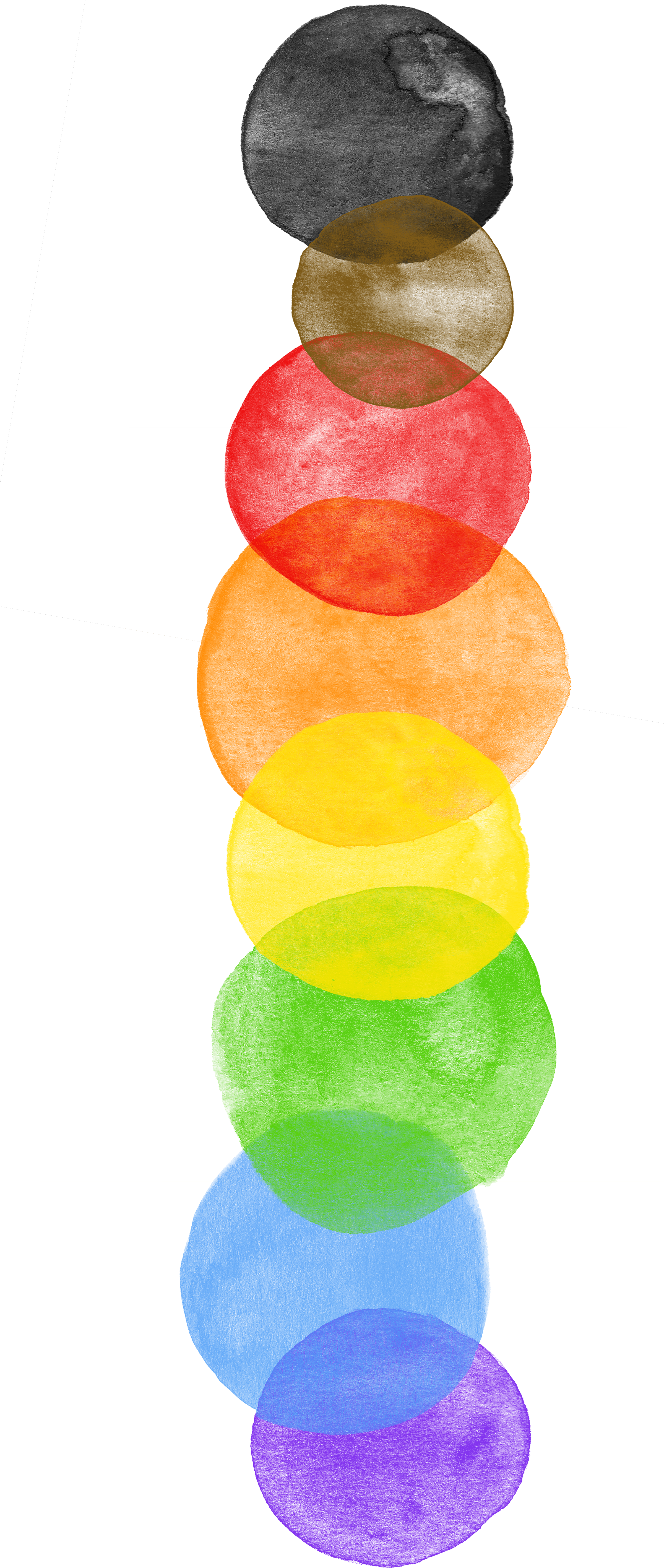 #rainbow #flag #rainbow #rainbowpride #socialjustice - Circle (2400x5700), Png Download