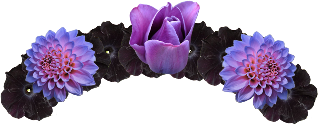 Twilight Sparkle Deviantart Anime Flower Crown Crown - Purple And Black Flower Crown (1081x430), Png Download