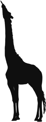 Giraffe Wild Clip Arts Animals Background, Giraffe, - Portable Network Graphics (640x640), Png Download