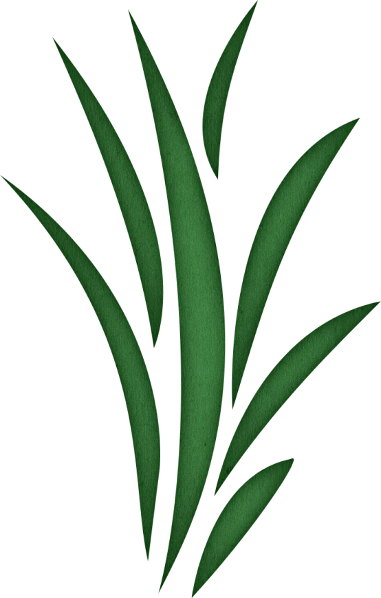 Weed Clipart Sea Grass - Sea Weed Transparent (526x827), Png Download