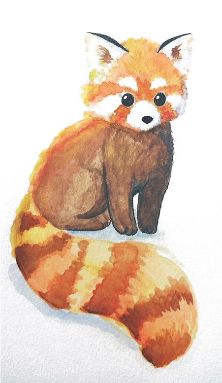 Svg Library Download Red Panda The Giant Bear Raccoon - Cute Drawings Of Red Pandas (450x800), Png Download
