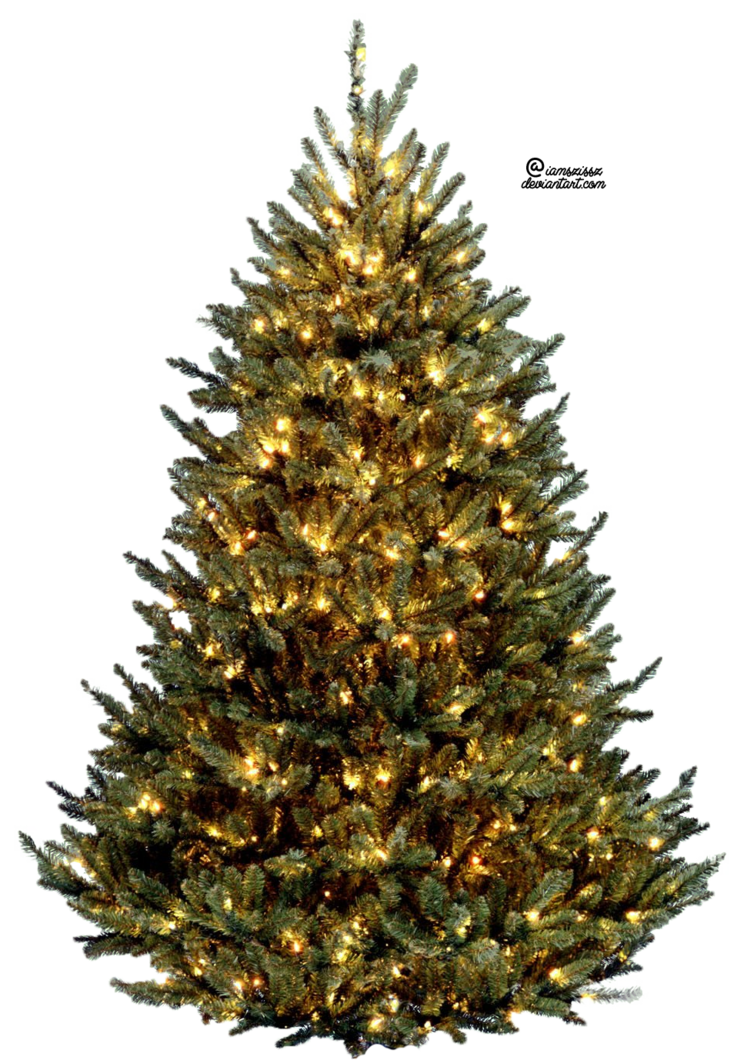 15 Christmas Tree With Lights Png For Free Download - Real Christmas Tree Png (754x1060), Png Download