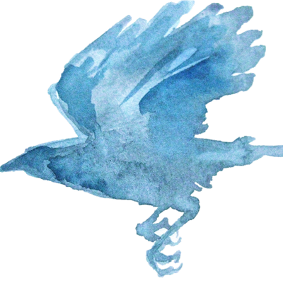 Melanie Mascarenhas - Blue-footed Booby (400x400), Png Download