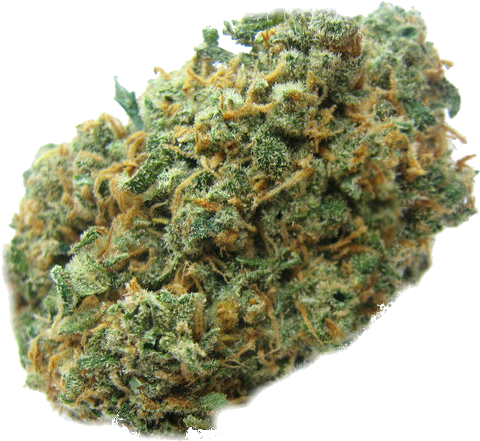 Download Related Image Png Photo, Cannabis - Cannabis Bud Transparent