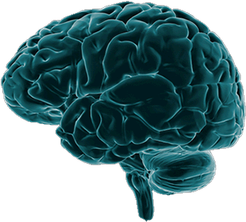 Progesterone Molecule - Brain Damage Png (490x435), Png Download