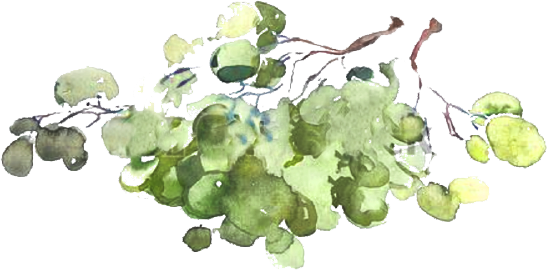 Our Wine - Watercolor Painting (547x270), Png Download