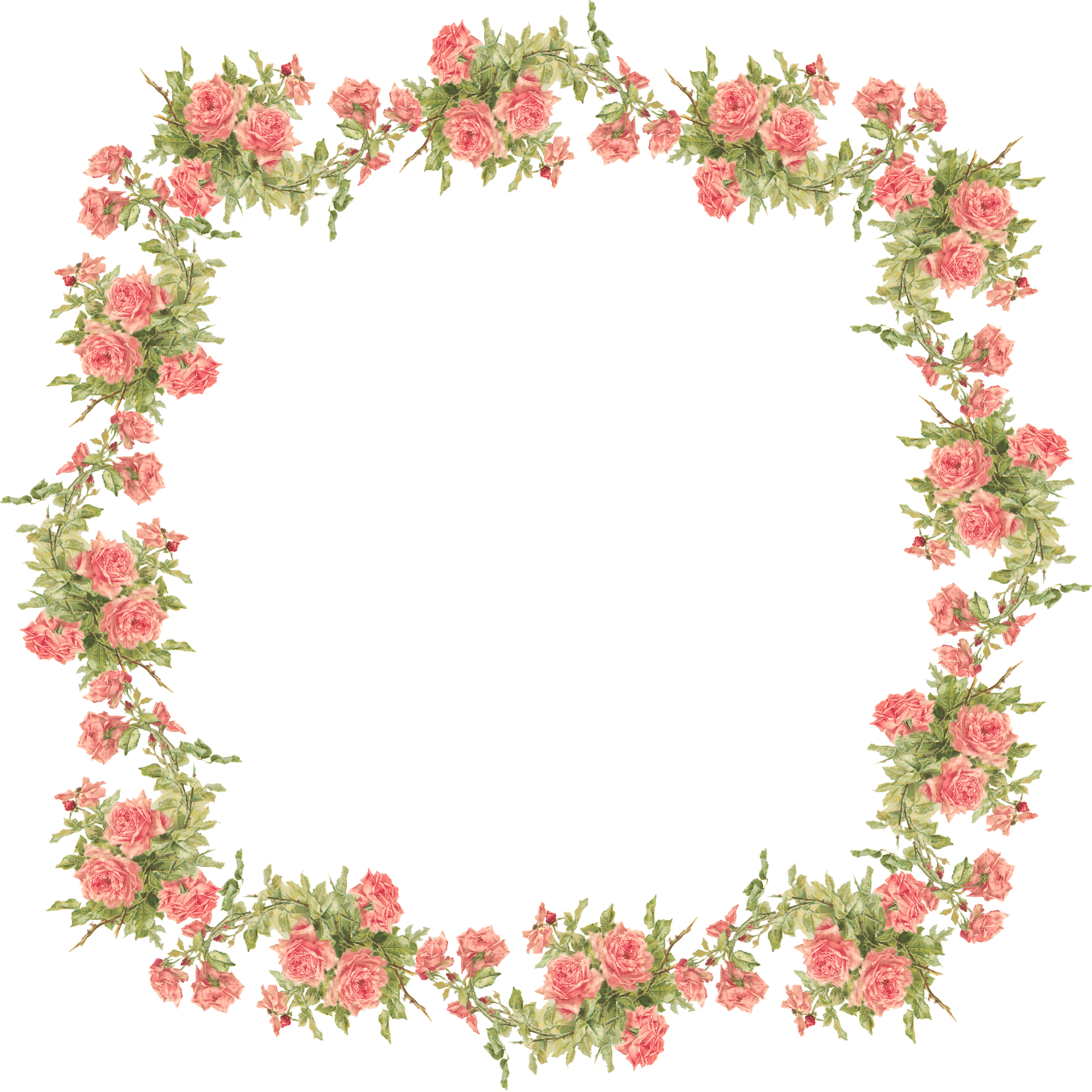 Rose Frame, Flower Frame, Flower Art, Vintage Backgrounds, - Flowers Clip Art Transparent Background (730x730), Png Download