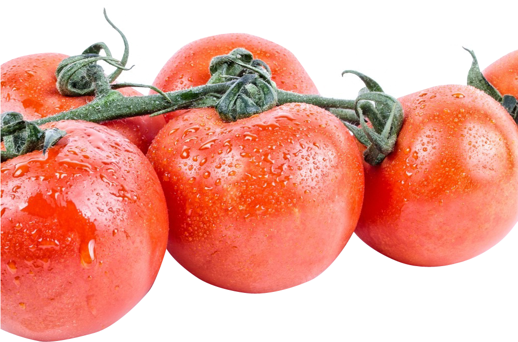 Tomato Png Image1 - Portable Network Graphics (1024x723), Png Download