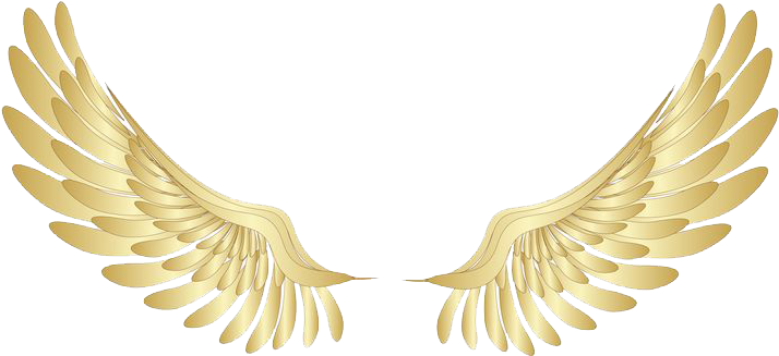 Angel Halo Wings Png File - Golden Wings Transparent (736x344), Png Download