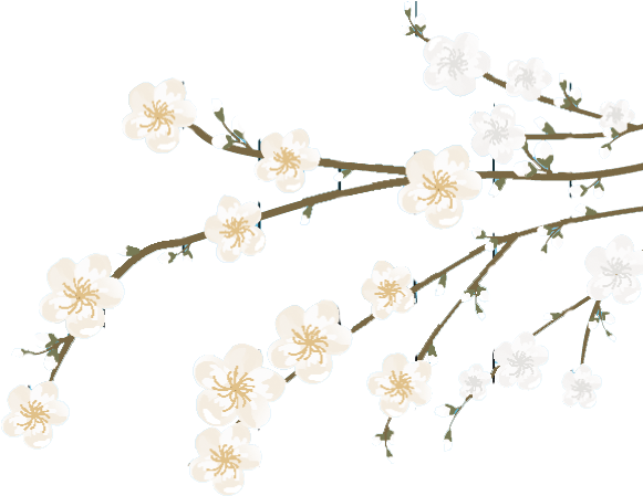 Flower Bouquets, New Baby Products, Filters, Graphic - White Branches Flowers Vector (654x480), Png Download