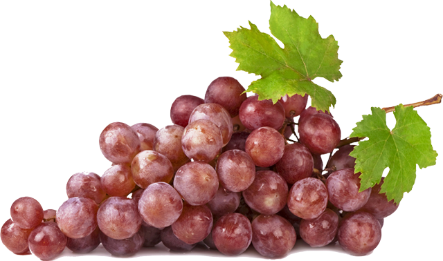 Grapes Transparent Red Wine - Red Wine Grapes Transparent (640x378), Png Download