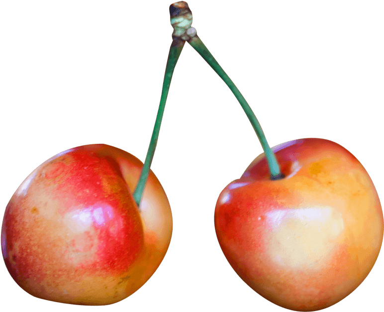 Free Png Rainier Cherry Png Images Transparent - Rainier Cherry Png (850x688), Png Download