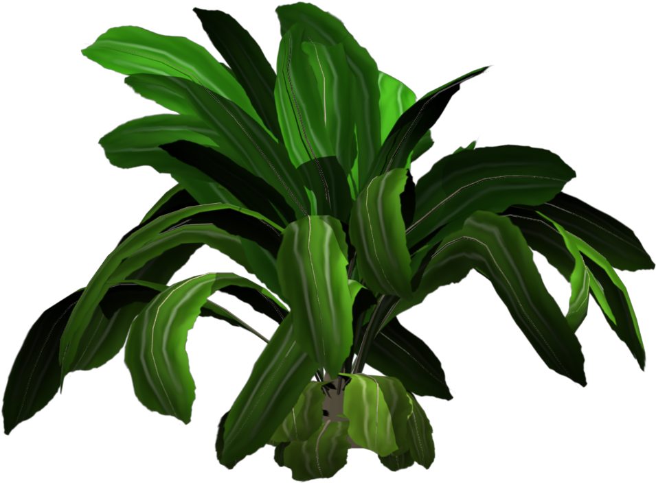 Added By Yorik On - Tropical Plant .png (1024x768), Png Download