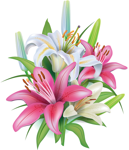 Fleurs Flores Flowers Bloemen Png Kwiaty Transparent - Bansuansukdee Paper For Decoupage Vintage Style And (483x600), Png Download