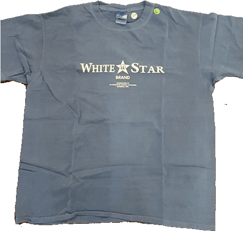 White Star Line - Active Shirt (500x500), Png Download
