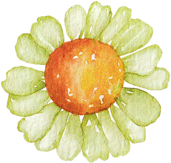 Watercolour Paintings - Watercolor Painting (500x500), Png Download