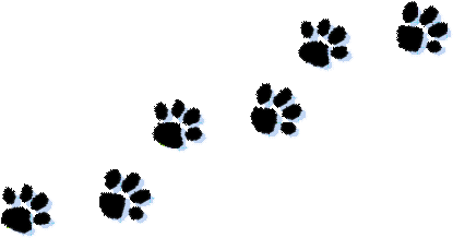 Paw Print Tattoos On Dog Paw Prints Scroll Clipart - Transparent Background Paw Prints Clip Art (437x300), Png Download