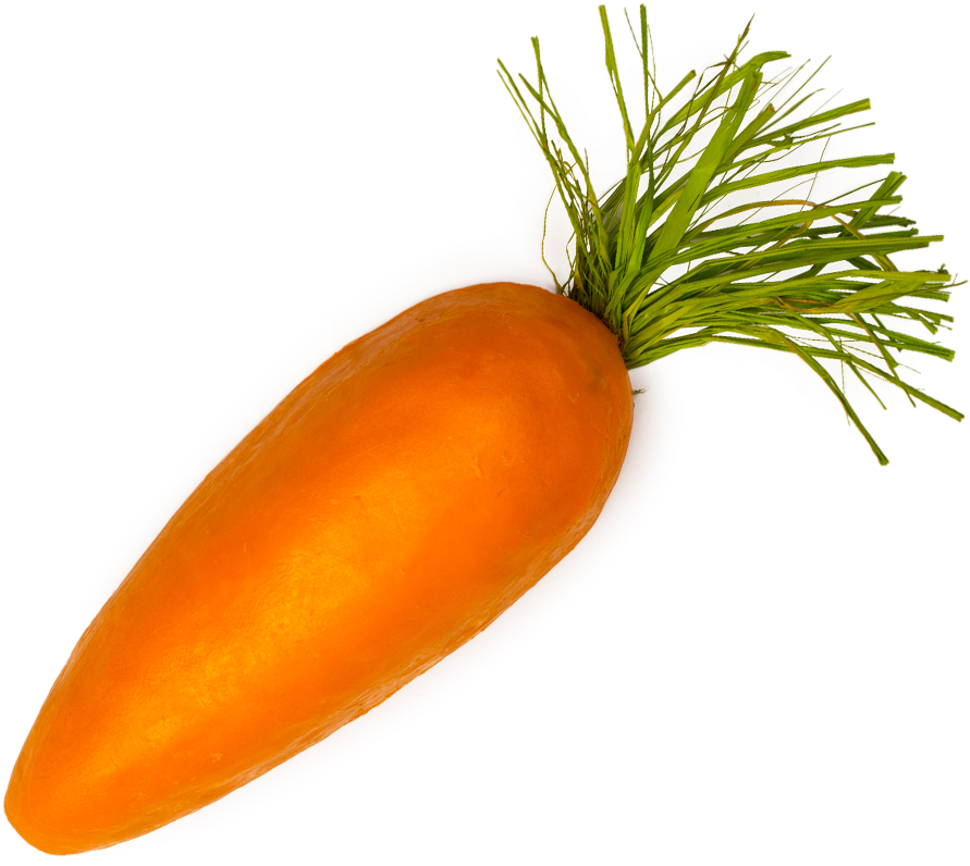 Single Carrot Png Png Download - Short Fat Carrot (1000x1000), Png Download
