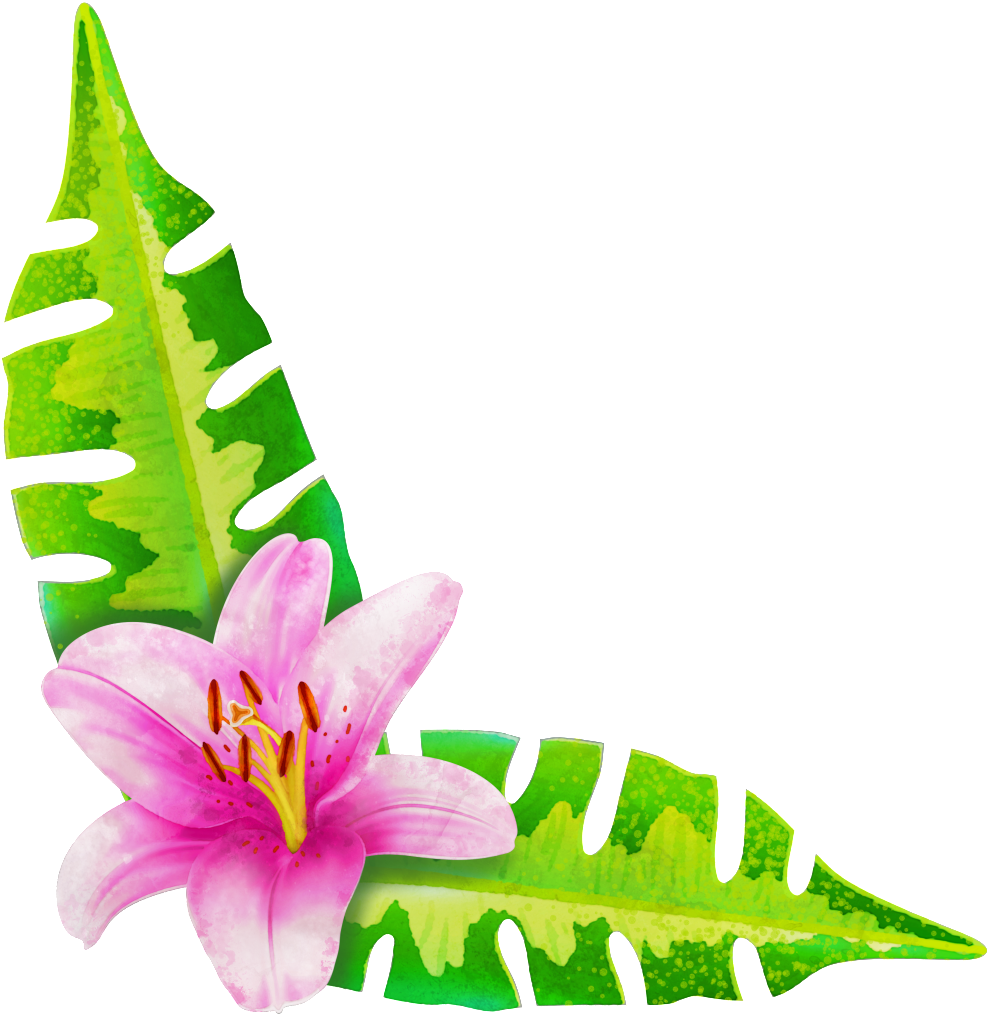 This Graphics Is Painted A Flower Two Leaves Png Transparent - Portable Network Graphics (1024x1024), Png Download