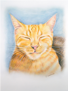 Cat Walter - Tabby Cat (366x366), Png Download