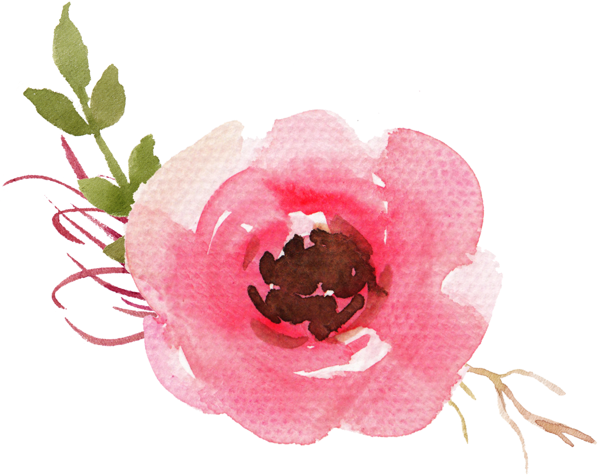 Fresh From The Blog - Oriental Poppy (2000x2000), Png Download