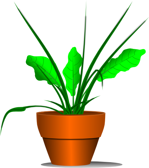 Plant Clipart Transparent - Plant Clipart (489x550), Png Download