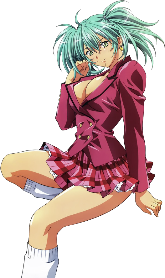 It's A Fact That Everyone Loves Maids And That's Why - Ikkitousen Great Guardians Dvd (561x900), Png Download