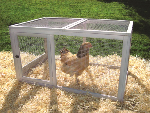 Creates A Safe And Secure Environment For Chickens - Precision Pet Backpen Backyard Barn Chicken Pen (600x600), Png Download