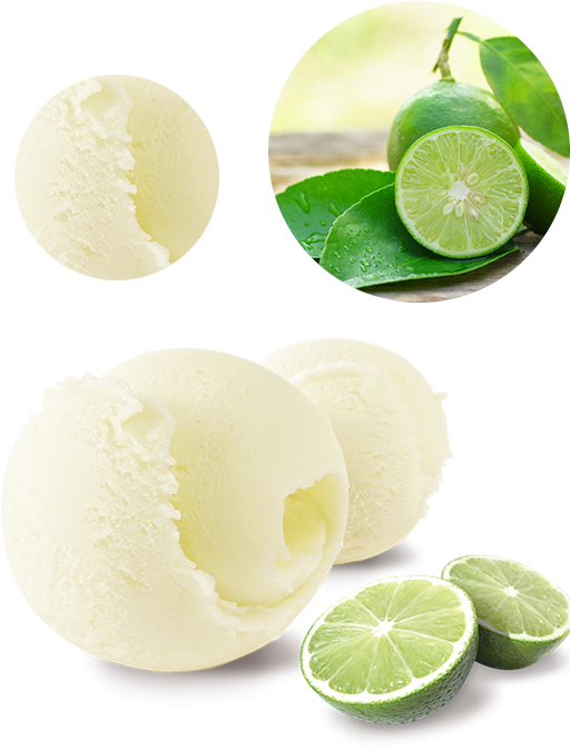 Lime (583x744), Png Download