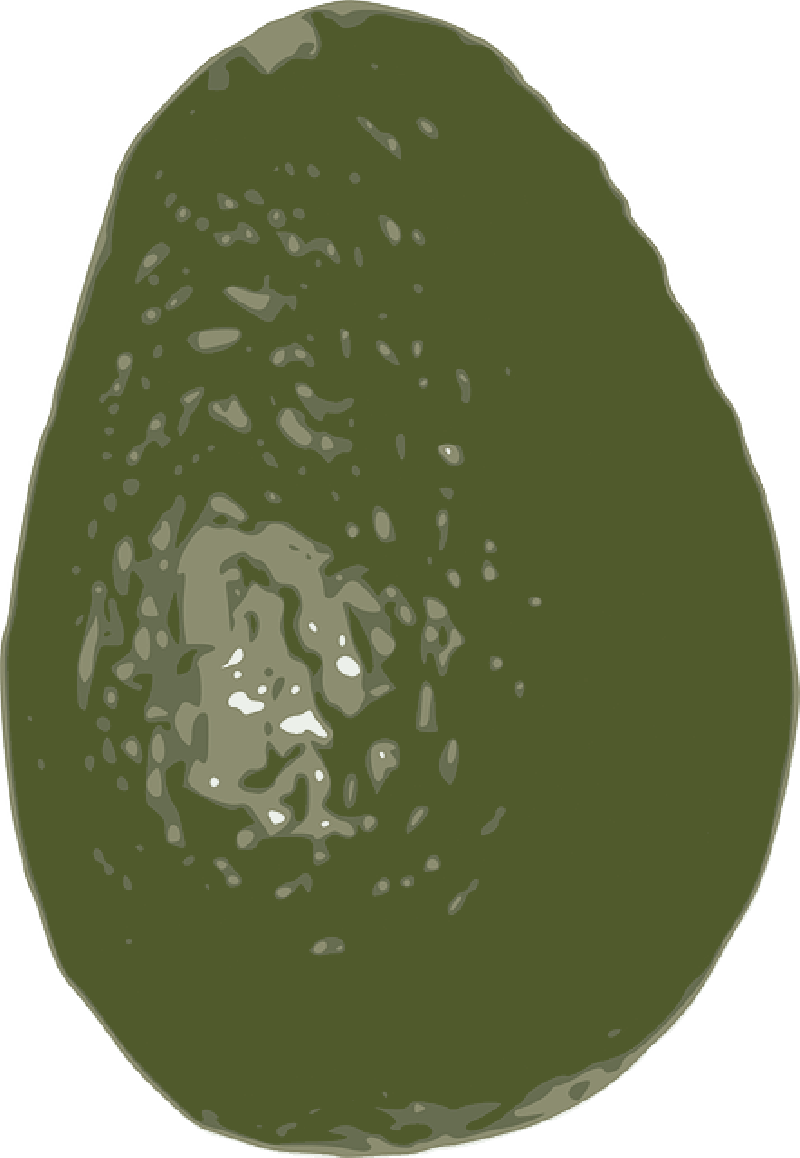 Mb Image/png - Avocado (800x1158), Png Download