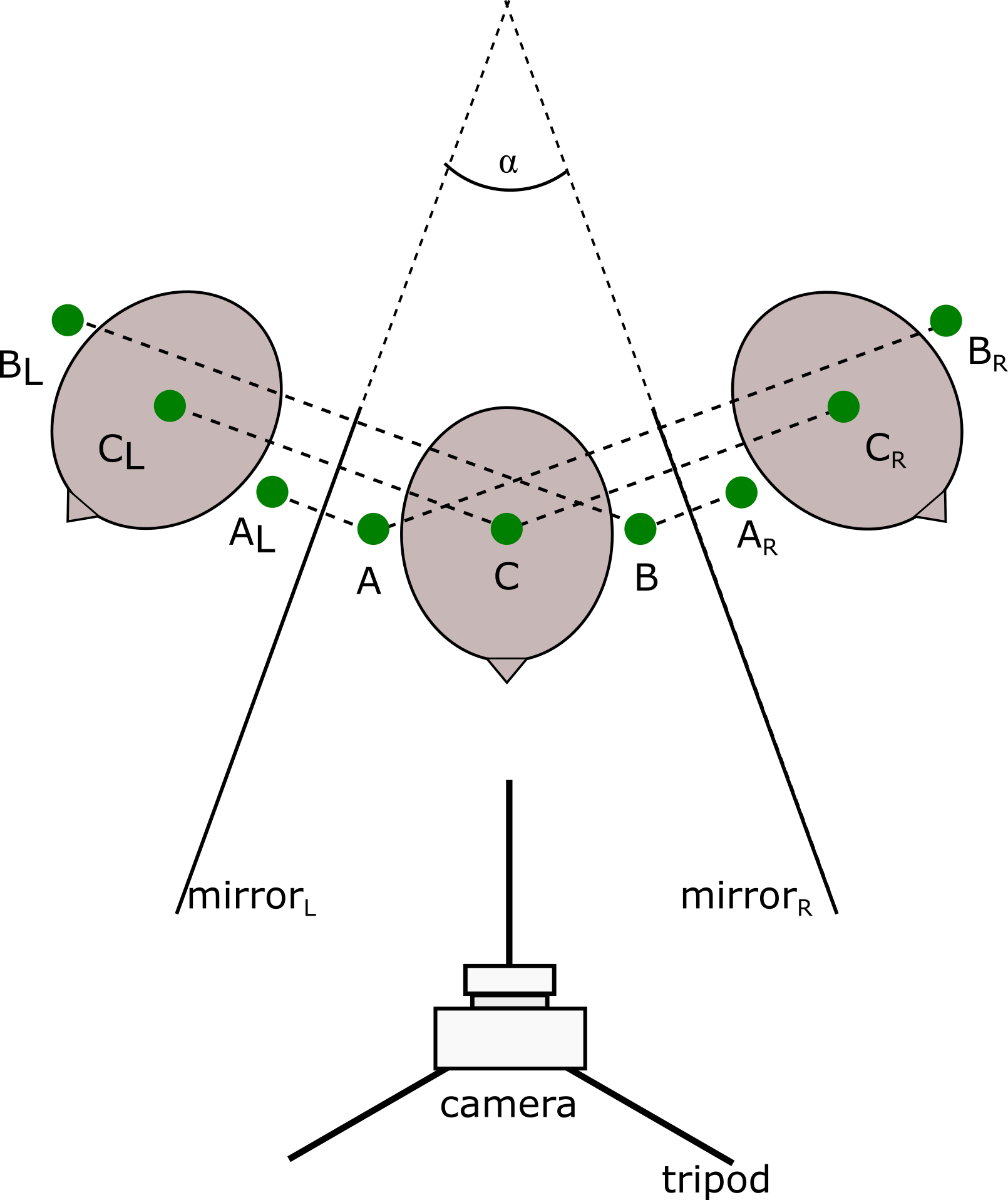 The Mirror Setup Is Composed Of Two Mirrors At An Arbitrary - Diagram (1610x1916), Png Download