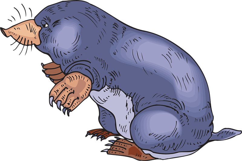 Furry Mole Svg Clip Arts 600 X 399 Px (600x399), Png Download