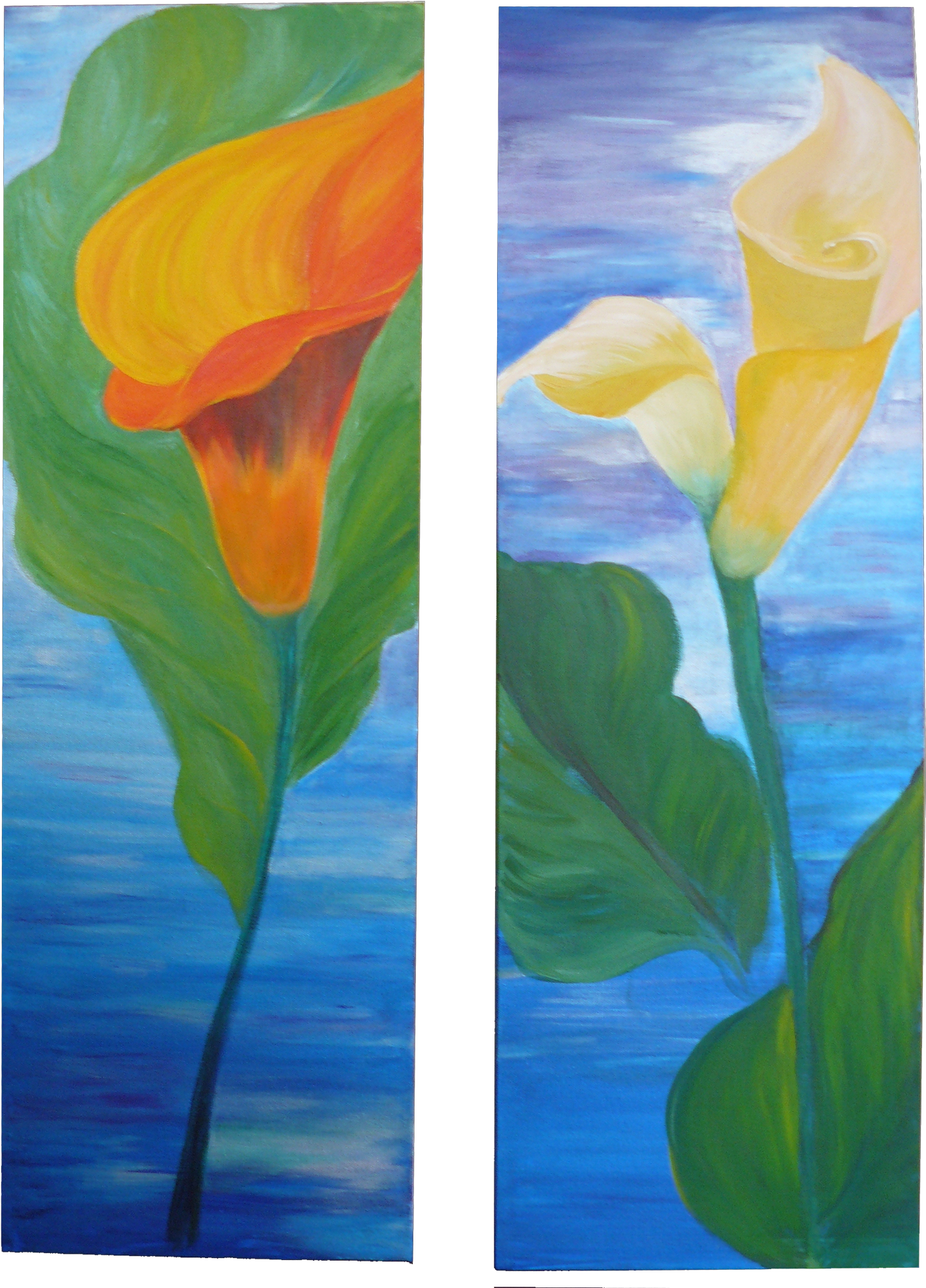 Giant White Arum Lily (1515x2048), Png Download