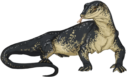 Item Monitor Lizard - Monitor Lizard Png (500x500), Png Download