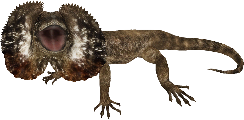 Graphic Freeuse Download Zoo Tycoon - Frilled Neck Lizard Png (968x532), Png Download