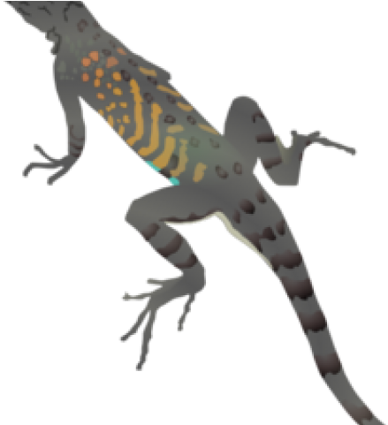 Reptile Leaping Free On Dumielauxepices Net - Lizard Clipart (640x480), Png Download