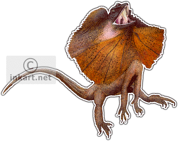 Frill-necked Lizard Decal - Frill Neck Lizard Art (580x461), Png Download