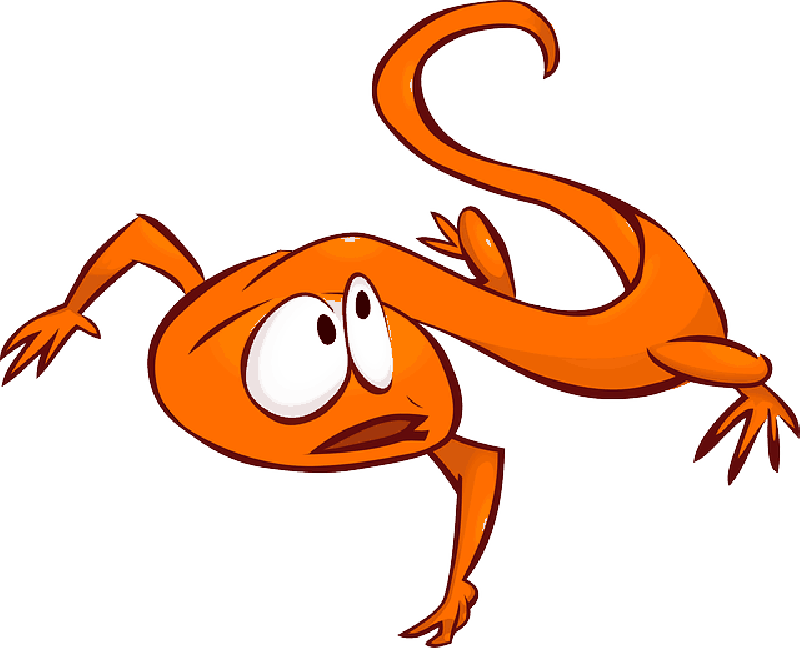 Mb Image/png - Lizard Clip Art (800x648), Png Download