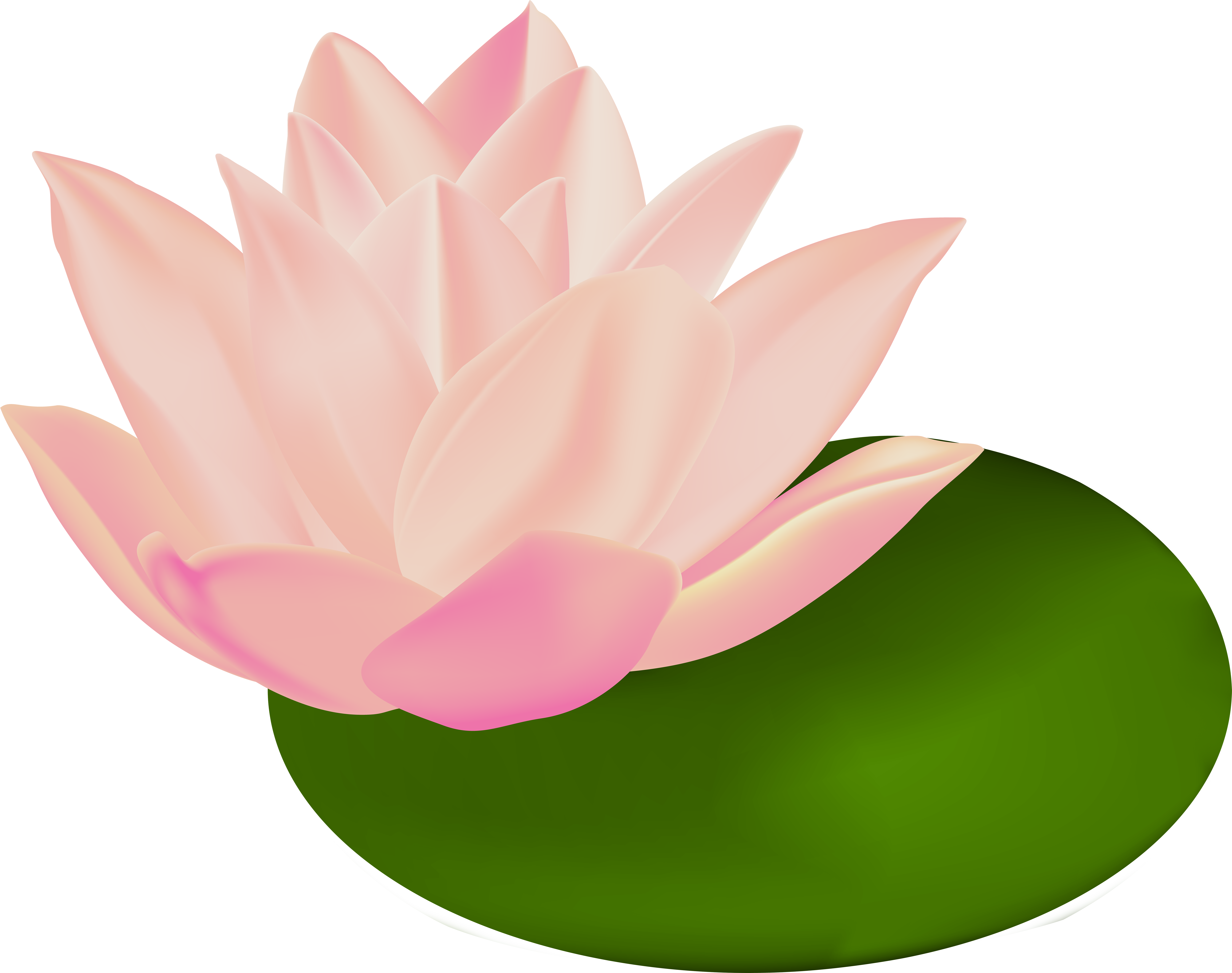 Image Royalty Free Stock Huge Freebie (8000x6321), Png Download