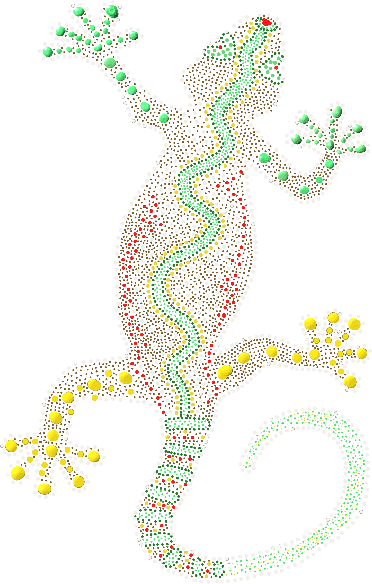 Big Image - Vertebrate (1446x2270), Png Download