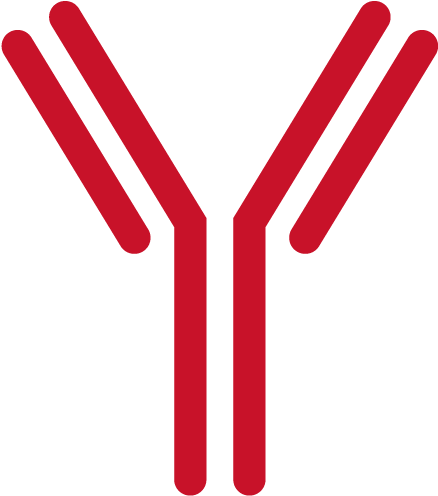 Years In Business - Antibody Clip Art (533x533), Png Download