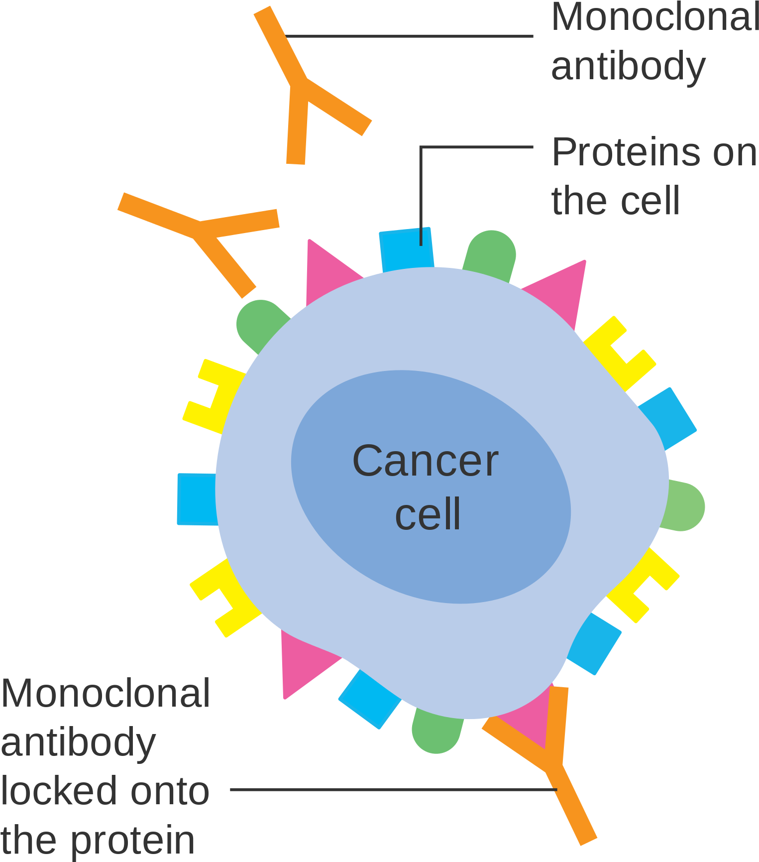 Open - Cancer Cell Monoclonal Antibody (2000x1948), Png Download