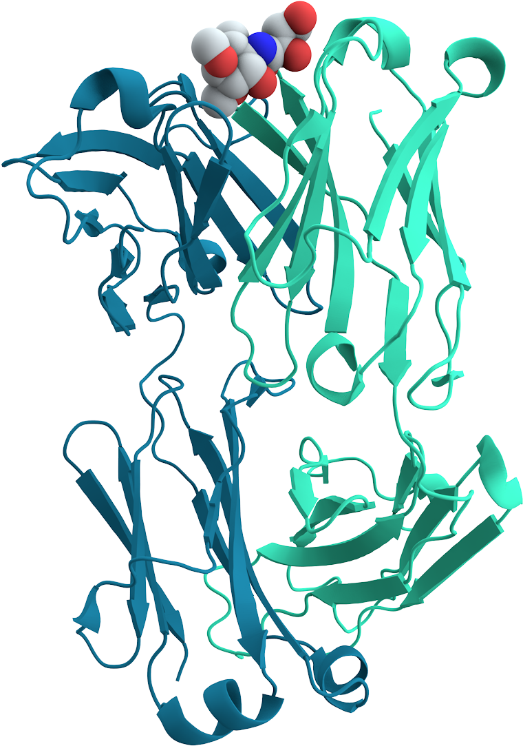 Mouse Cholera Antibody - Cholera Signalisation Cellulaire (900x1200), Png Download
