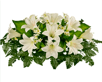 Go To Image - White Easter Lily Transparent (353x353), Png Download