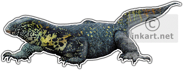 Nile Monitor - Nile Monitor Sticker (oval) (590x228), Png Download