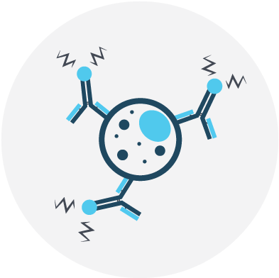 Detection Sets Icon - Antibody Icon Png (400x400), Png Download