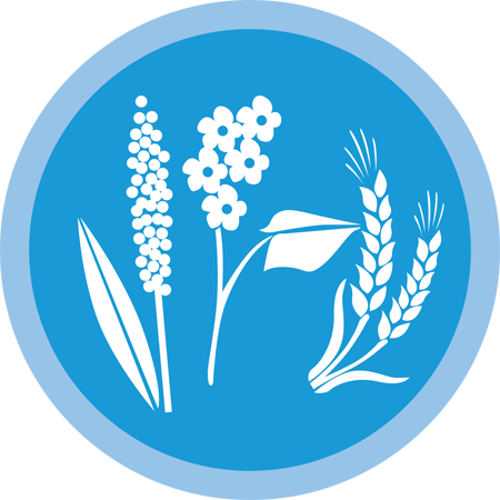 Wheat Icon New - Video Game (450x450), Png Download