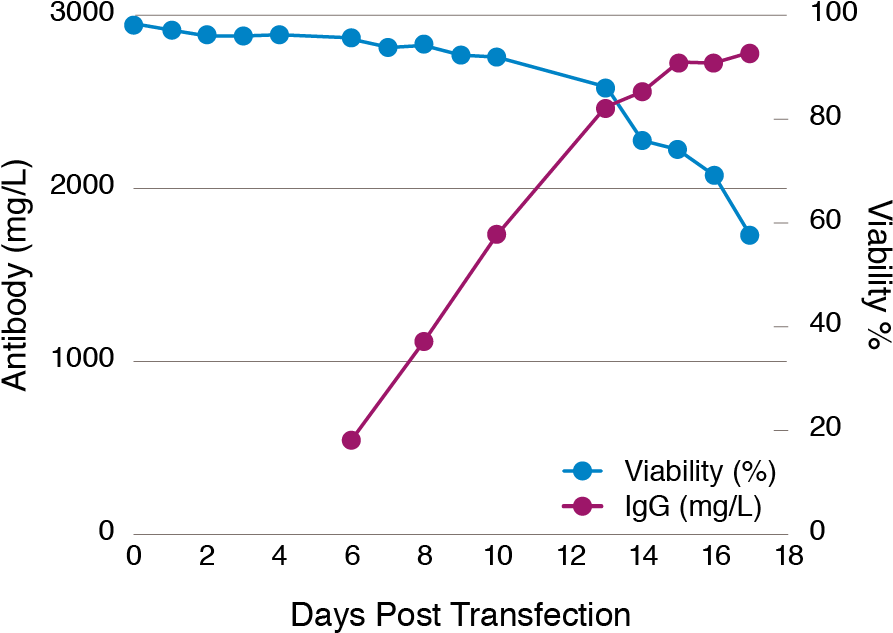 Antibody Titers >500 Mg/l Within 6 Days & >2 G/l In - Diagram (900x638), Png Download