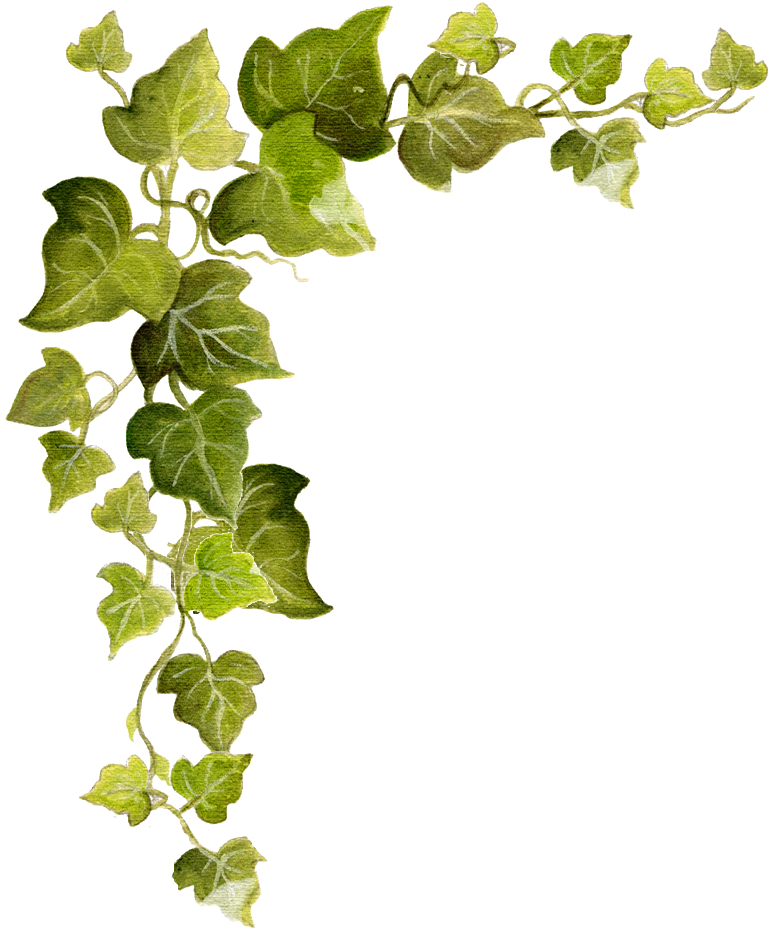 Ivy Snip - Ivy Vines Acrylic Painting (771x929), Png Download