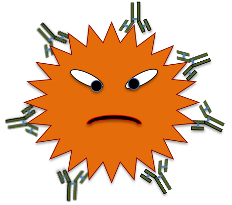 This Bad Guy, Invading Cell, Has Been Opsonized By - Antigen Antibody Reaction Gif (469x415), Png Download